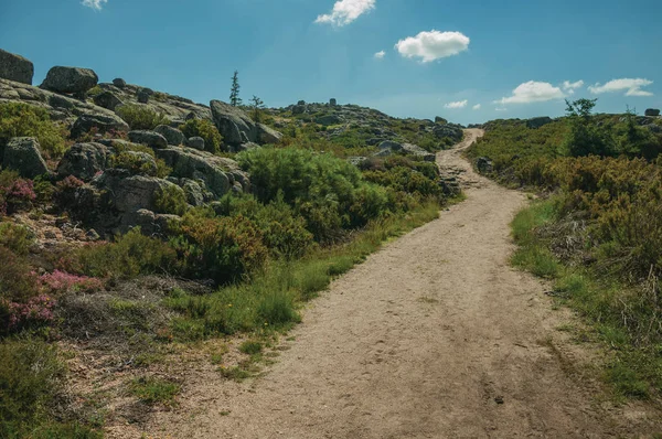 Trail passing through rocky terrain on highlands — Stock Photo, Image