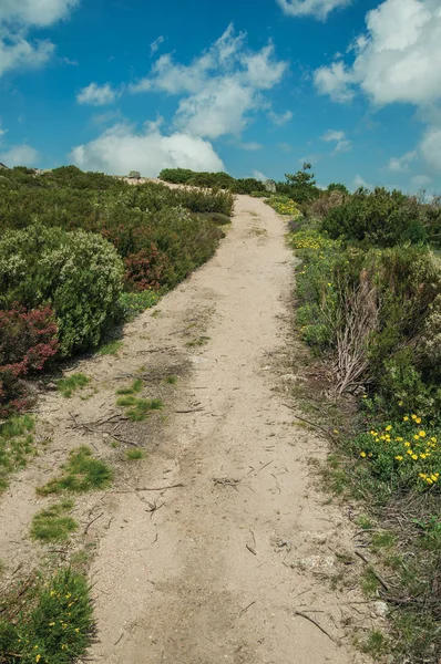 Sentiero che attraversa terreni rocciosi sugli altopiani — Foto Stock