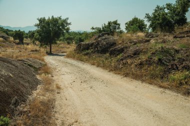 Kayalık araziden geçen kırsal toprak yol