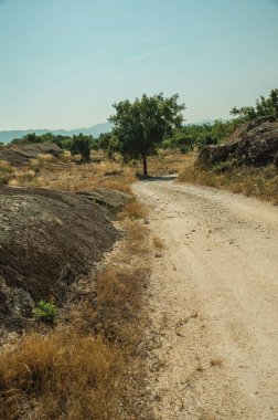 Kayalık araziden geçen kırsal toprak yol
