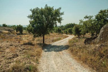Kayalık araziden geçen kırsal toprak yol