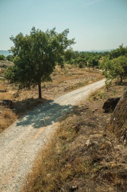 Kayalık araziden geçen kırsal toprak yol