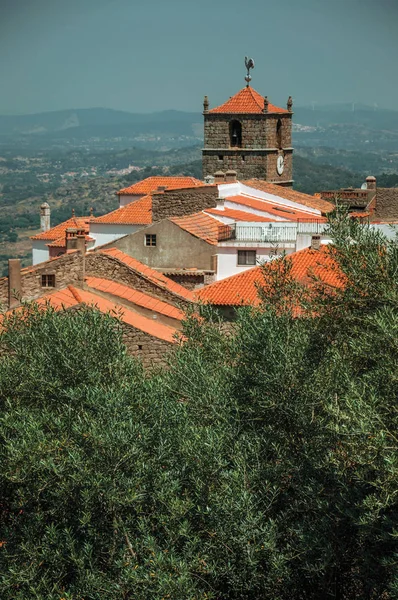 Antiguas casas de piedra con campanario y olivo en Monsanto —  Fotos de Stock