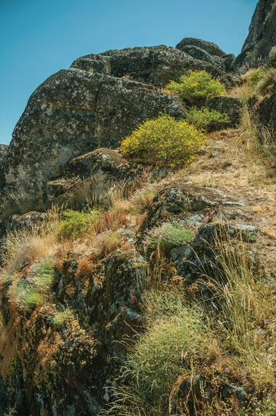 Monsanto yakınlarındaki çalılar üzerinde çiçeklerle kaplı kayalık yamaç