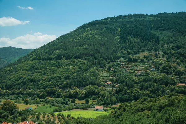 Landscape with cottages on hill covered by trees — Stock Photo, Image