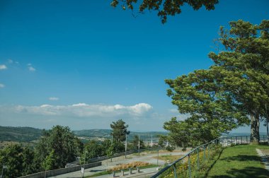 Çim ve yapraklı ağaçlar ile yemyeşil bahçe ile Park