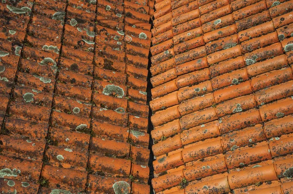 Šindele na střeše pokryté mechem a lišejníkem — Stock fotografie