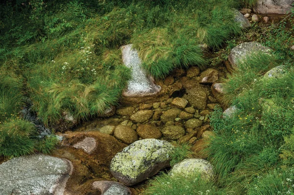 Kristallklares Wasser in einem Bach, der durch Felsen fließt — Stockfoto