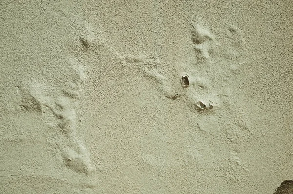 Pared cubierta por yeso áspero con burbujas de molde — Foto de Stock