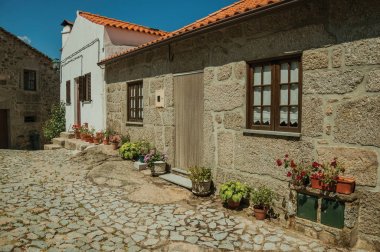 Arnavut kaldırımlı sokakta eski evler ve çiçekli tencereler