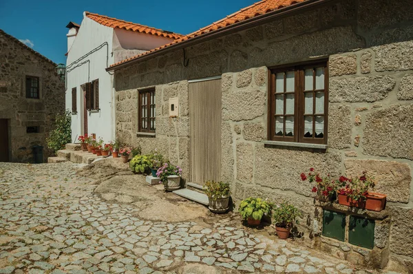 Casas velhas e vasos floridos em calçada — Fotografia de Stock