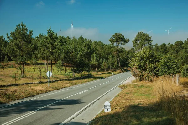 Route traversant les arbres et les éoliennes — Photo