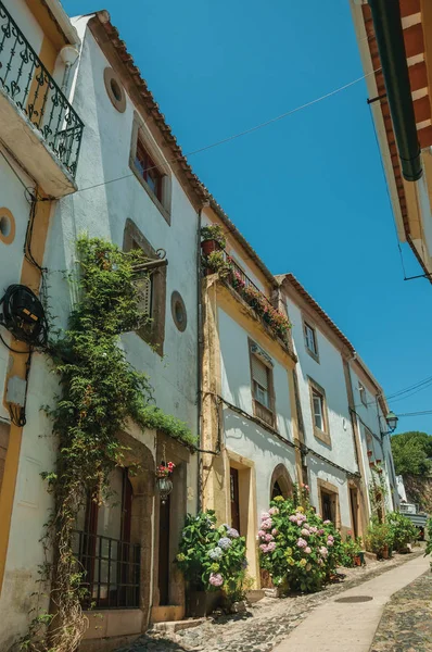 Viejas casas coloridas con arbustos floreados en callejón en pendiente — Foto de Stock