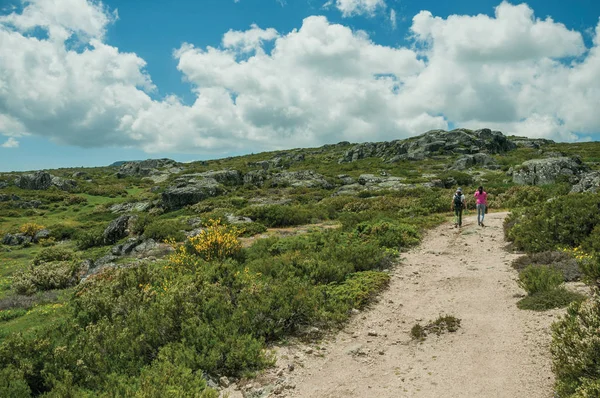 Trail going through rocky terrain on highlands — Stock Photo, Image