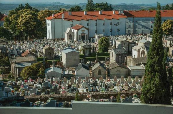 Cemetery with crypts and marble tombs at Guarda — Stock Photo, Image