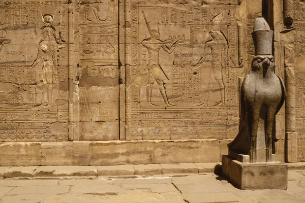 Ιερογλυφικό Τείχος Και Μυθολογικό Γλυπτό Γεράκι Σκαλισμένα Από Τους Αρχαίους — Φωτογραφία Αρχείου