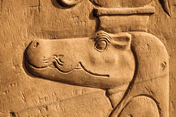 アスワン近くのコム オンボ寺院の壁に刻まれた古代エジプト神話の神を描いたワニの頭 エジプト南部のナイル川のほとりにある巨大な考古学的意義のある村 — ストック写真