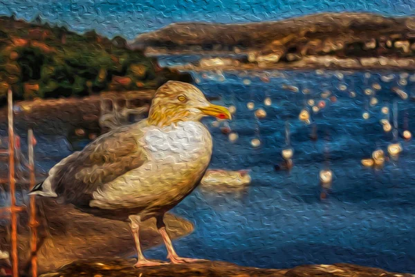 Detalle Una Gran Gaviota Respaldo Negro Con Veleros Fondo Puerto — Foto de Stock