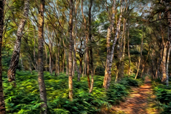 诺丁汉附近的舍伍德森林里 泥泞的小径穿过灌木丛和夏日阳光下的树木 以与英格兰中部罗宾汉传说的联系而闻名的城市 油漆过滤器 — 图库照片