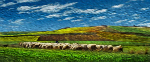Bucolic rural landscape with flock of sheep grazing on green fields at the Way of St. James. A famous pilgrimage route leading to Santiago de Compostela in northern Spain. Oil paint filter.