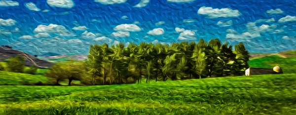 Bukolická Venkovská Krajina Hájem Zelených Polích Slunečného Dne Cesty Jakuba — Stock fotografie