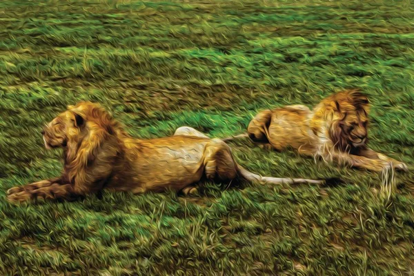 在塞伦盖蒂国家公园的平坦景观中 狮子懒洋洋地躺在绿草之上 非洲稀树草原上的一个保护区 生活着好几种大型哺乳动物 油漆过滤器 — 图库照片
