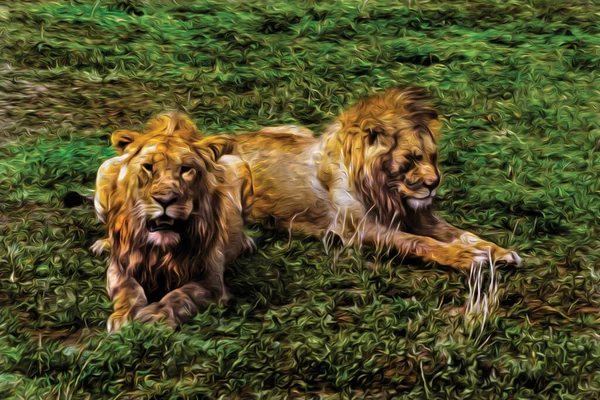 Lion Couché Sur Herbe Côté Carcasse Zèbre Dans Paysage Plat — Photo