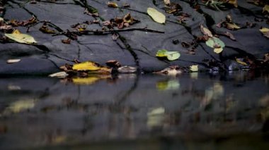 Akan suyun makro videosu, taşlar arasında akan dere. Ormanda akarsu