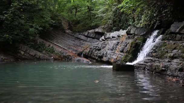 Cascades Plusieurs Niveaux Cascades Vidéo Avec Cascades Vidéo Écoulement Eau — Video