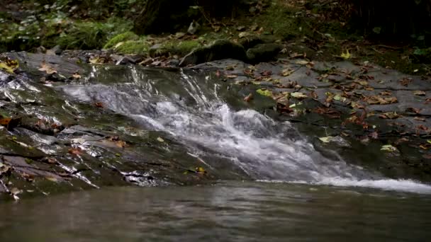 Wasserfälle. mehrere Ebenen von Wasserfällen. Video mit Wasserfällen. Video von fließendem Wasser, fließendem Strom zwischen Steinen. Bach im Wald — Stockvideo