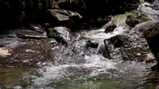 Makrovideo von fließendem Wasser, fließendem Strom zwischen Steinen. Bach im Wald — Stockvideo