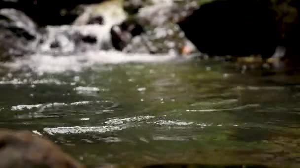 Macro vídeo de água corrente, fluindo fluxo entre as pedras. Fluxo na floresta — Vídeo de Stock