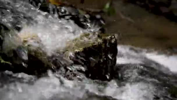Macro Video Agua Corriente Corriente Que Fluye Entre Las Piedras — Vídeo de stock