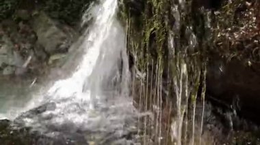 Taşların arasında akan suyun 4k 'lik videosu. Ormanda akarsu
