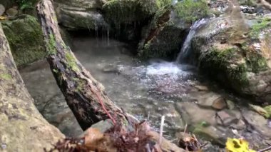 Taşların arasında akan suyun 4k 'lik videosu. Ormanda akarsu