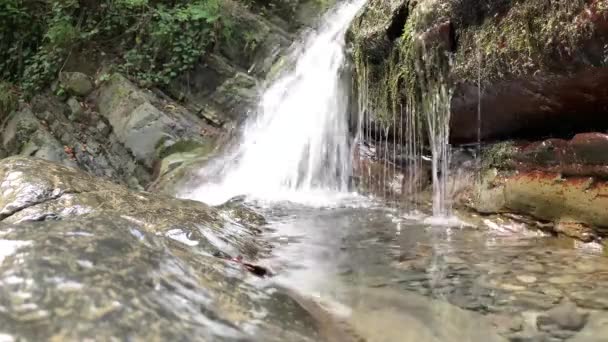 Video Tekoucí Vody Tekoucí Potok Mezi Kameny Proud Lese — Stock video