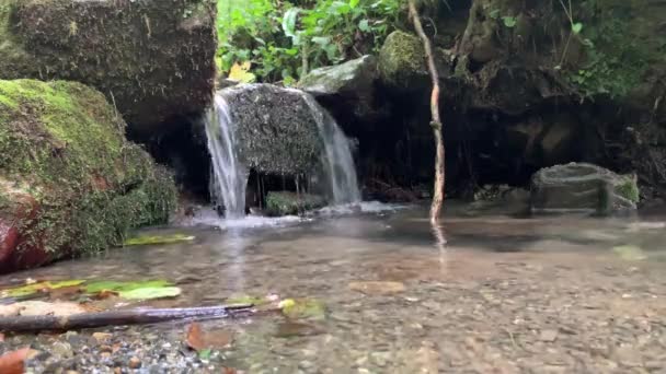 Taşların Arasında Akan Suyun Lik Videosu Ormanda Akarsu — Stok video