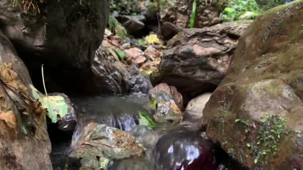 Video Von Fließendem Wasser Fließendem Strom Zwischen Steinen Bach Wald — Stockvideo