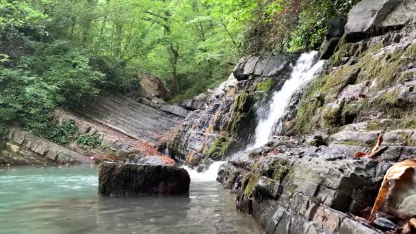 Video Waterfalls Several Levels Waterfalls Video Waterfalls Video Flowing Water — 비디오