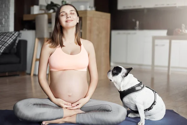 O meu treinador de quatro patas fica de olho em mim. Indoor tiro de mulher europeia grávida atraente e relaxado em roupas esportivas elegantes, sorrindo alegremente enquanto sentado em pose de ioga no rolo pad em casa, meditando — Fotografia de Stock