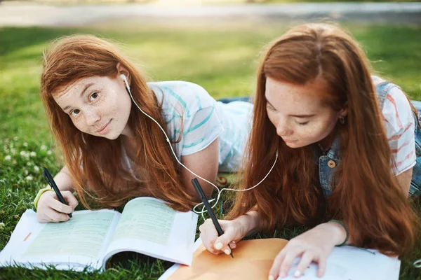 Kau ingin bertanya sesuatu. Potret gadis berambut merah riang yang sedang berbaring di rumput di taman dengan stister, berbagi earphone sambil mendengarkan musik untuk fokus dan mengerjakan PR bersama — Stok Foto