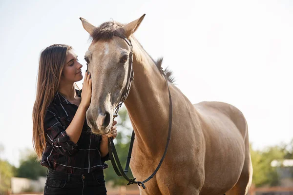 Ніжність, тварини та концепція дружби. Досить жіночий хокей, жінка-ветеринар обожнює коней, ставить м'яко пелюшку передпліччя, м'яко посміхається, хоче їздити по сільській місцевості, як проводити вихідні на фермі — стокове фото