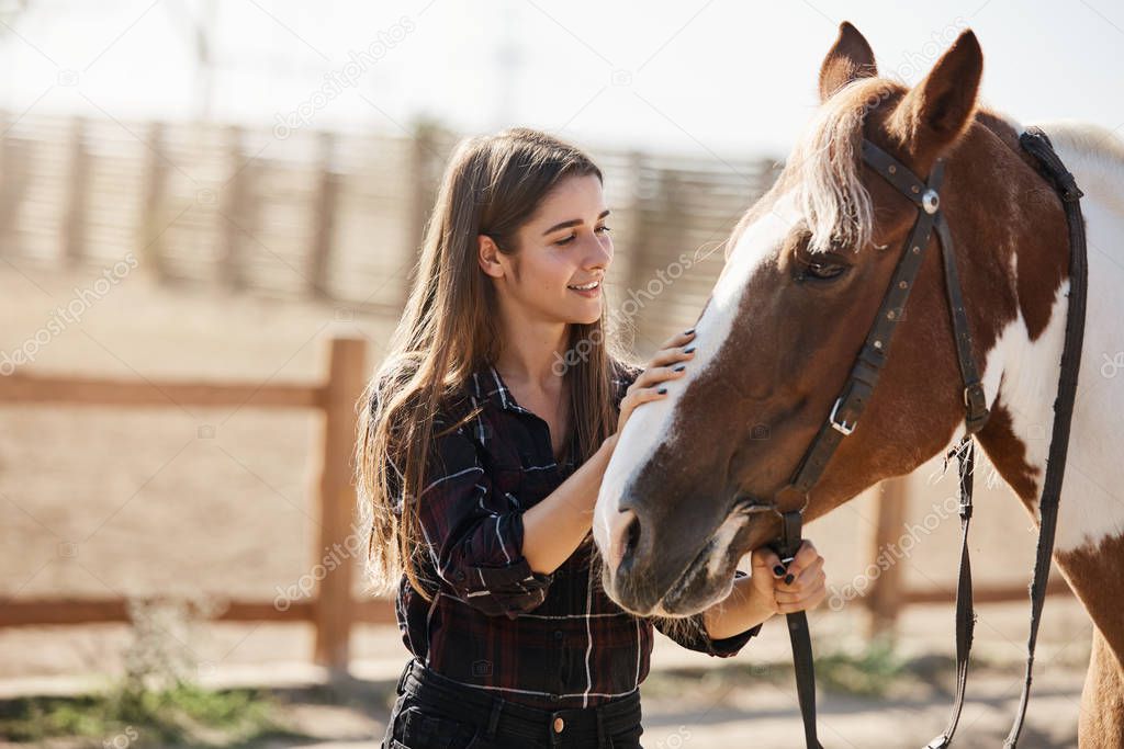 Young attractive female vet look after cute horse, petting its head, smiling tenderly. Young woman jokey became friends with pet, walking in stables, learn how to ride, hold animal on bridle