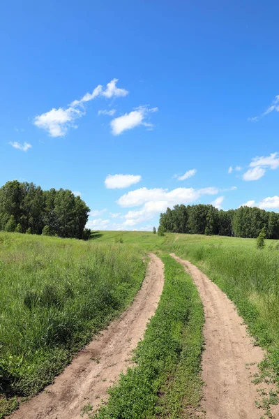 Fältet Vägen Solig Dag Regionen Altai Ryssland — Stockfoto