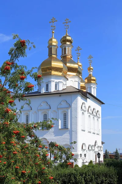 Tyumen Ryssland Augusti 2018 Treenigheten Herrarnas Kloster — Stockfoto