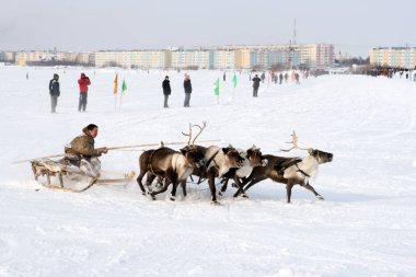 Nadym, Rusya - 07 Mart 2010: Arctic halkların geleneksel aktarımında Nenets. Nenets - Rus Kuzey Aborjinleri