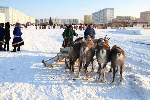 Nadym Russia February 2012 Nenets Traditional Transport Peoples Arctic Nenets — Stock Photo, Image