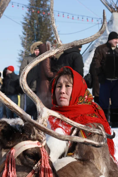 Nadym Rússia Março 2010 Idosa Nenets Mulher Entre Veados Nenets — Fotografia de Stock
