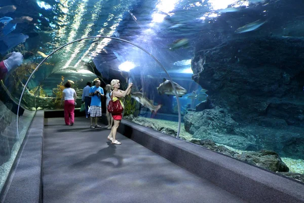 Bangkok, Tayland-Mart 26, 2012: Turist akvaryum sakinleri fotoğraf çekme tur sırasında