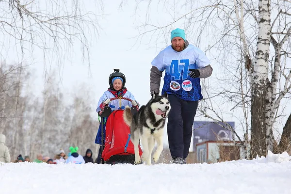 Volwassenen en kinderen uitgevoerd met een team van husky op het festival in — Stockfoto